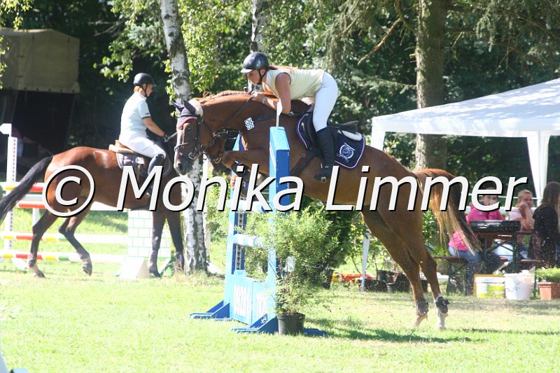 308M1527_Spring L.JPG